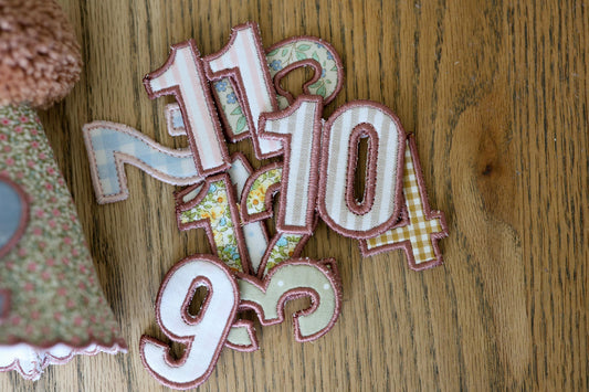 Monthly Milestone Party Hat Set - Interchangeable Numbers 1-12