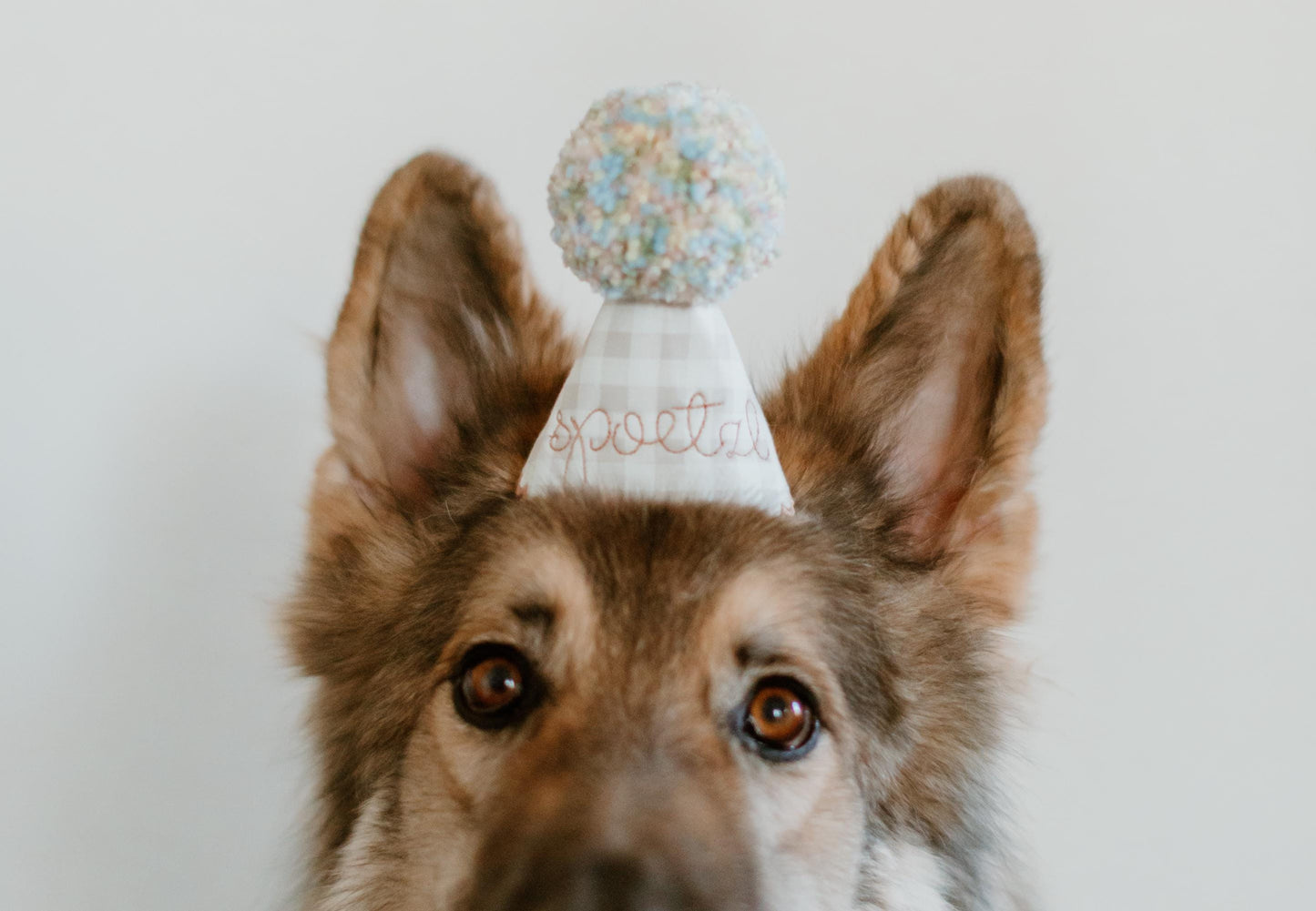 Custom Dog Birthday Hat – Embroidered Pet Party Hat